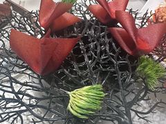 -迦南苑·新派青岛菜·生日纪念日主题餐厅