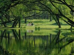 -上海共青森林公园