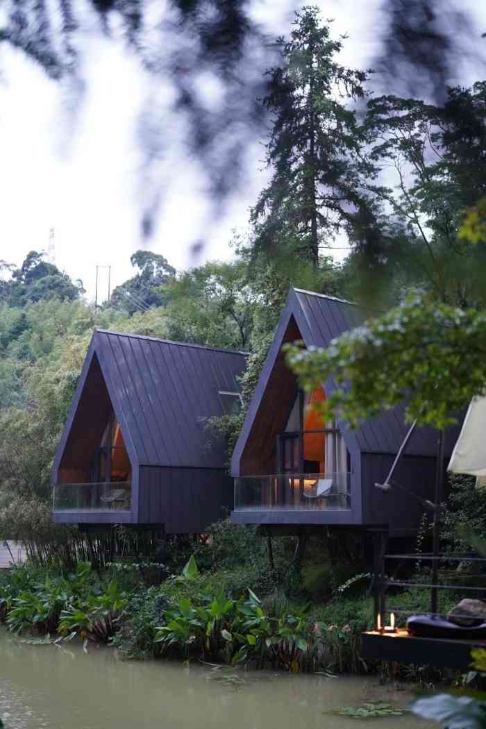 慕名前往南昆山爱树南昆秘境在山里面所以空气很好当然冬天去的话山上