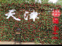 -天津五大道文化旅游区