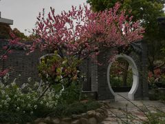 -南汇水蜜桃采摘(大团店)