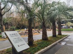 -苏州河梦清园环保主题公园