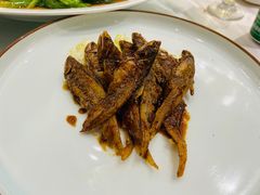 -骏莱海鲜鱼港(五角场店)