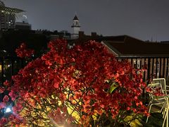 -HUATA 'Holiday Plan 花榻