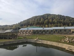 -横道河子东北虎林园