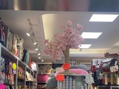 -北京观赏动物医院·24小时大型综合·猫专科·异宠专科