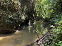 -怀托摩萤火虫洞