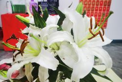 -资医堂·除疤祛痘祛斑