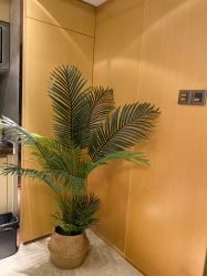 -JNK皮肤管理中心