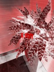 -Yestar杭州艺星医疗美容医院