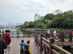 -南宁南湖公园
