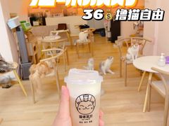 -猫咪派对(江南西店)