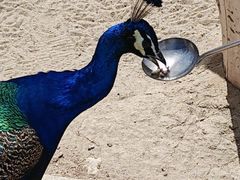 -水上乐园·欢乐世界