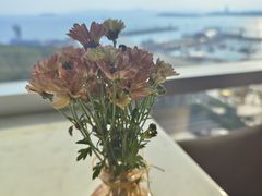 -青岛海尔洲际酒店