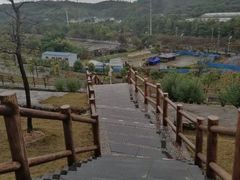 -李宁体育园