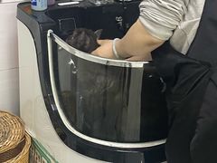 -派特宠物医院(圆融广场店)