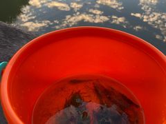 -九里河湿地公园