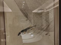-沈灶河豚宴·河豚融合餐厅(汉中路店)