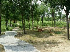 android_upload_pic-北京鹿世界主题园