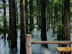 -东湖落雁景区