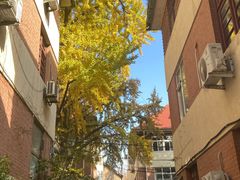 -大学路8号炸串(大学路十四号院店)