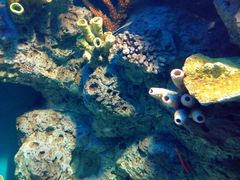 -福州罗源湾海洋世界旅游区