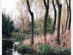 -洛阳市隋唐城遗址植物园