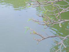 -东山湖公园