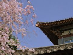 -西安青龙寺遗址景区
