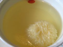 -厉家菜(金宝街店)