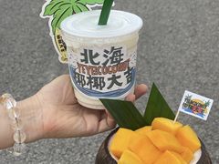 -椰椰大吉(侨港店)