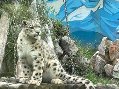 -青藏高原野生动物园