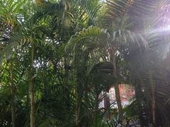 -三亚亚龙湾雅高美爵酒店