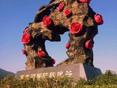 -亚龙湾国际玫瑰谷