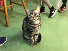 -藦茜花园宠物主题亲子互动体验馆(国顺东路店)