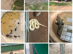 -西霞口神雕山野生动物世界