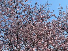 -白塘生态植物园