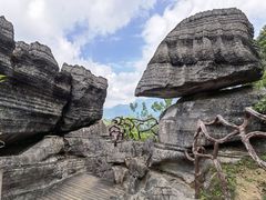 -梭布垭石林景区