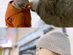 -世界之窗阿尔卑斯冰雪世界