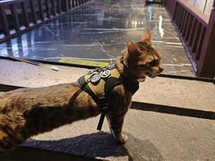 -西郊八号·山野江西菜(开发区店)