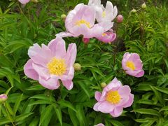 -长春公园(普阳街道)