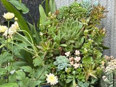 -街角 T·COFFEE 融合料理·BISTRO(车公庙店)