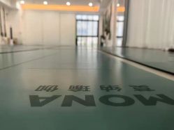 -莫纳瑜伽·普拉提