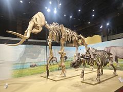 -国家自然博物馆