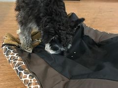 -拳盛时代拳击俱乐部(北京路店)