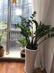 -爱的化妆工作室(雅地天际店)