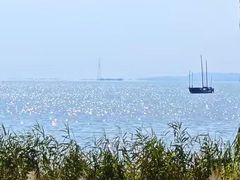 -苏州湾体育公园