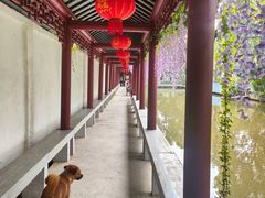 -龚家花园农家乐休闲别墅