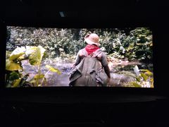 -奥斯卡升龙国际影城(RealD Cinema)