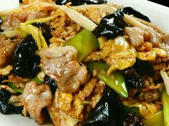 京酱肉丝-春饼家常菜(百子湾店)